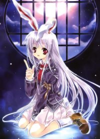 BUY NEW touhou - 122604 Premium Anime Print Poster